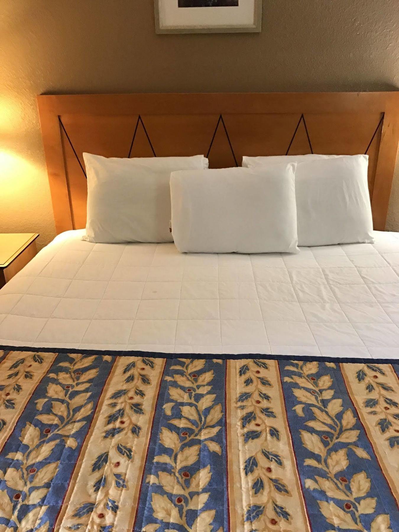 Americas Best Value Inn לארדו מראה חיצוני תמונה